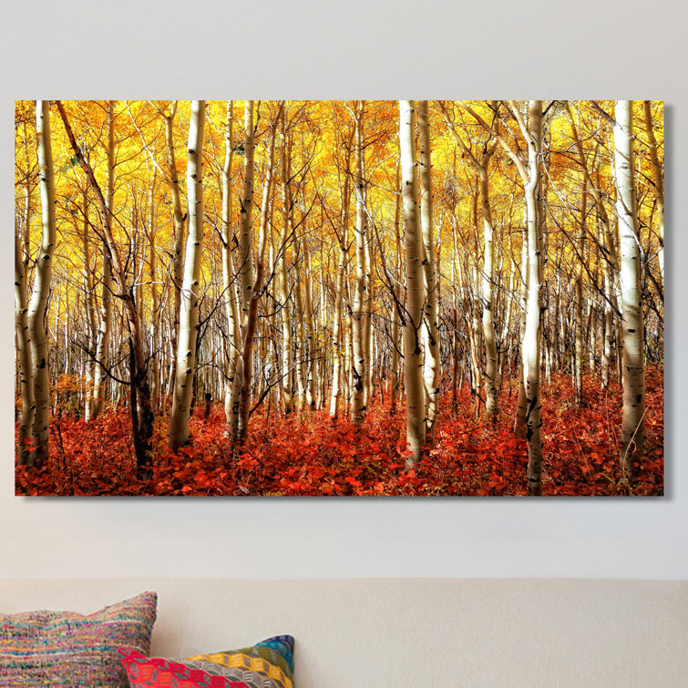 Millwood Pines Birch Trees Wrapped Canvas Photograph & Reviews